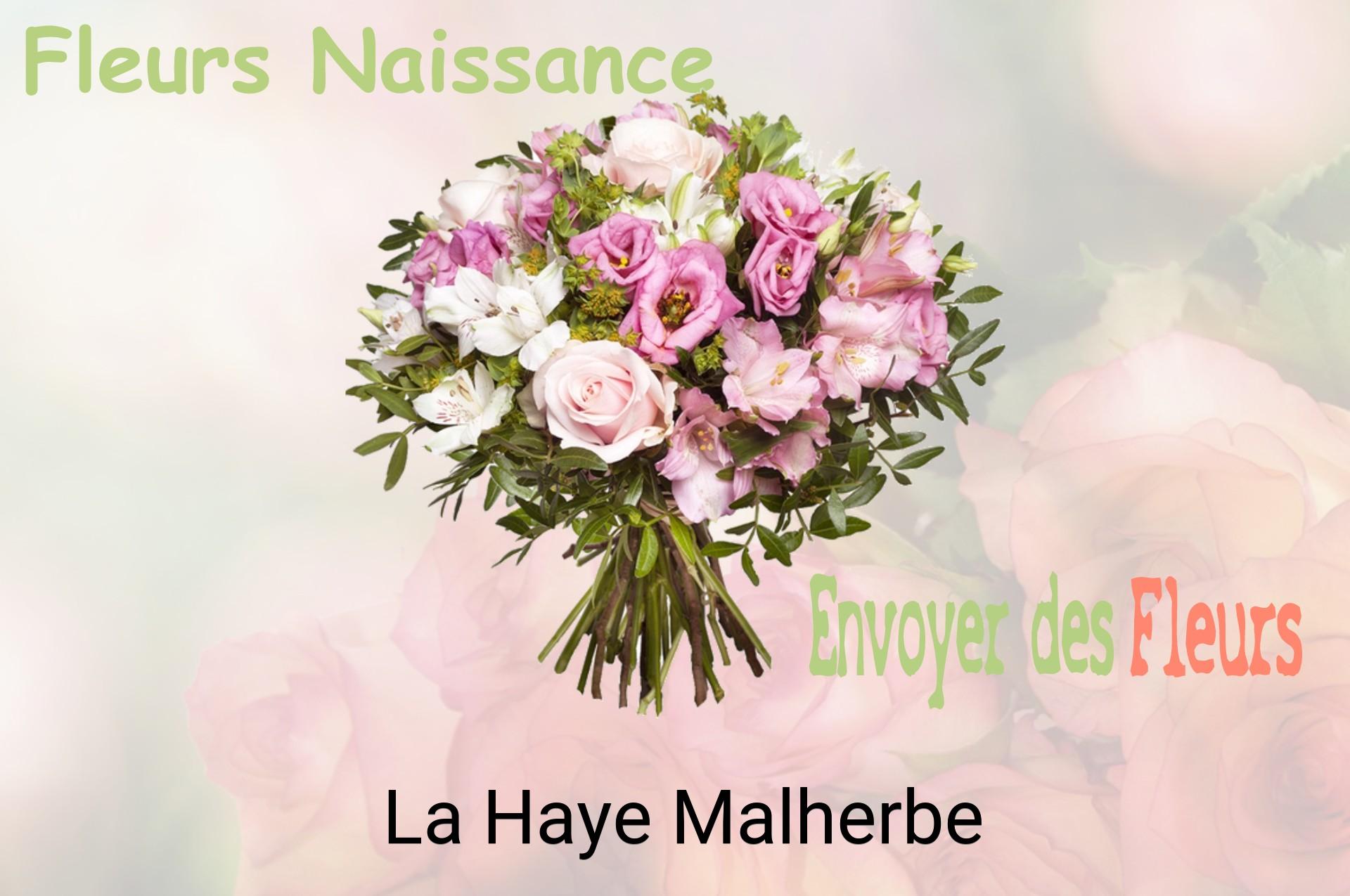 Bouquet de fleurs de naissance livré à La Haye-Malherbe
