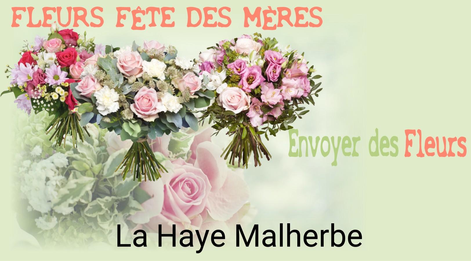 Bouquet de Fête des Mères livré à La Haye-Malherbe